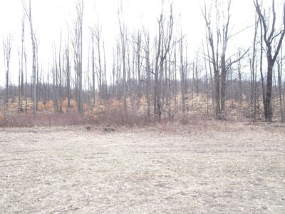 /international/us/chief-c-road-bear-lake-mi-110100594482/?lang=zh-cn