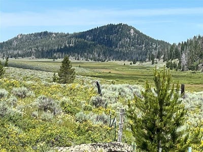 /international/us/highland-road-butte-mt-110107750981/