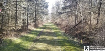 /international/us/6266-bluebird-lane-leon-ny-110092146460/