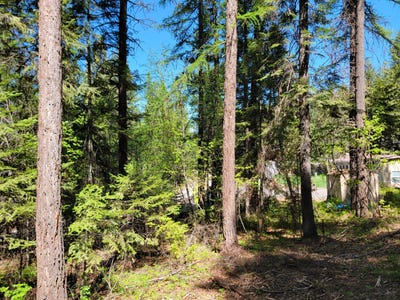 /international/us/263-twin-lakes-rd-inchelium-wa-110107804699/