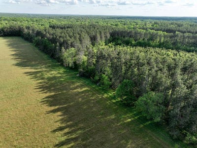 /international/us/barlow-lake-road-pembine-wi-110100339738/
