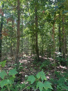 /international/us/1-county-road-750-centerville-mo-110108883245/