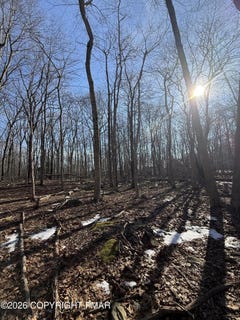 /international/us/803-selig-rd-pocono-lake-pa-110104820814/