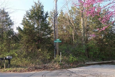 /international/us/cedar-hill-mo-110098376806/