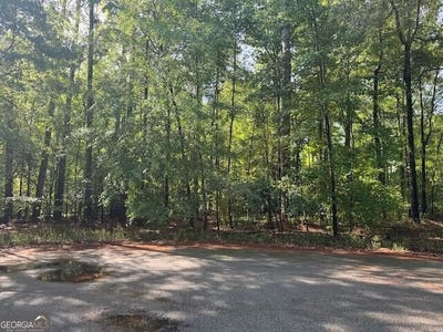 /international/us/winchester-way-lot-08-sandersville-ga-110107730958/