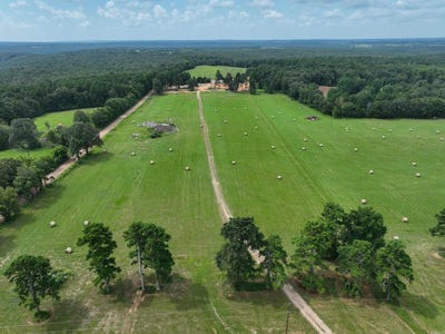/international/us/548-cornerstone-road-pleasant-plains-ar-110103155728/