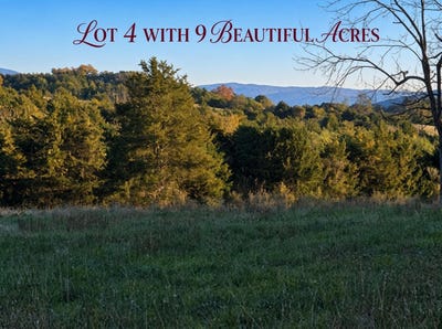 /international/us/berry-farm-rd-lot-4-staunton-va-110120883891/