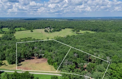 /international/us/lot-4-e-419th-road-bolivar-mo-110100982253/