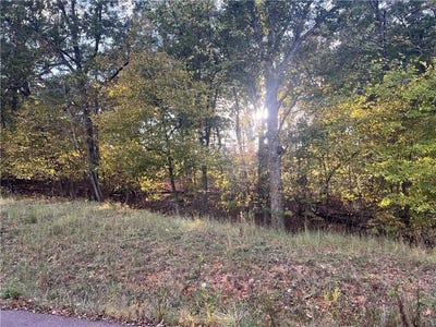 /international/us/8-9-12-sw-1-4-red-hollow-road-gravois-mills-mo-110103057071/