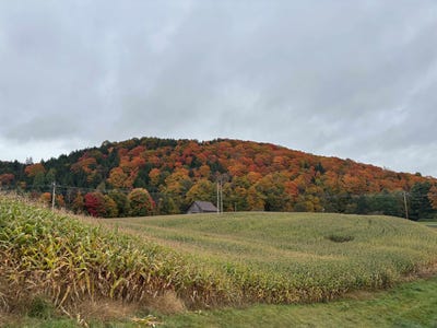 /international/us/lily-pond-road-lot-5-lyndon-vt-110110372381/