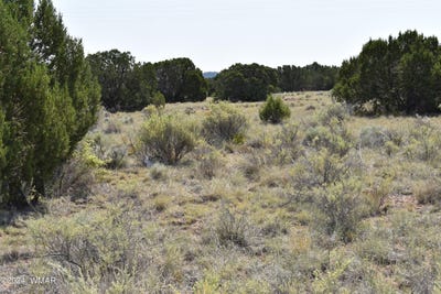 /international/us/18-crest-lane-concho-az-110090693085/
