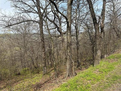 /international/us/000-w-big-rock-road-park-hill-ok-110098490292/