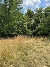 /international/us/lot-6-wylie-chartiers-pa-110100975584/