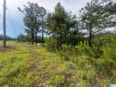 /international/us/0-county-road-349-maplesville-al-110099021940/?lang=en