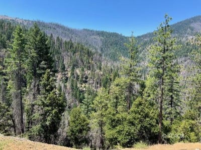 /international/us/000-hayfork-summit-junction-city-ca-110100765227/