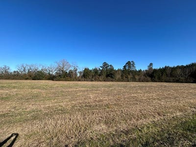 /international/us/10-779-ac-lot-12-willie-varnum-rd-d-hodge-rd-cottonwood-al-110095109810/?lang=fr