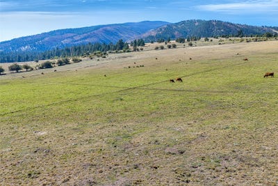 /international/us/willow-highlands-florence-mt-110102762162/