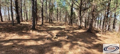 /international/us/0-lot-47-saddleback-dr-dover-tn-110099270242/