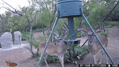 /international/us/554-cr-102-ballinger-tx-110108614263/