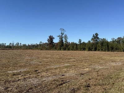 /international/us/hwy-71-lot-1-wewahitchka-fl-110120156682/