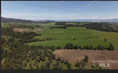 /international/us/rieman-rd-cottonwood-id-110106724227/