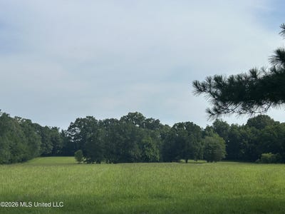 /international/us/1-green-acres-drive-canton-ms-110120741451/