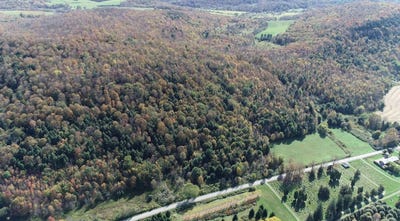 /international/us/0-county-highway-18a-west-winfield-ny-110102794317/