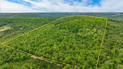 /international/us/1505-brushy-creek-road-mountain-view-ar-110099300484/