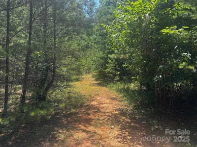 /international/us/quail-hill-drive-rutherfordton-nc-110100752833/?lang=zh-tw