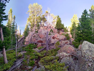 /international/us/3765-forest-road-195-red-feather-lakes-co-110107439234/