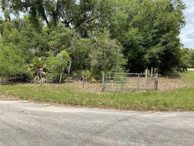/international/us/tbd-lot-56-malauka-radial-trail-ocklawaha-fl-110100322362/?lang=zh-cn
