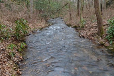 /international/us/18-19-sarvis-road-hayesville-nc-110108297202/