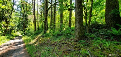 /international/us/8290-mt-baker-hwy-deming-wa-110100554018/