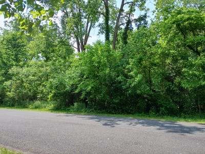 /international/us/briarwood-drive-otsego-mi-110096880481/