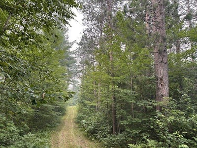 /international/us/kelly-lake-road-barnes-wi-110109405849/