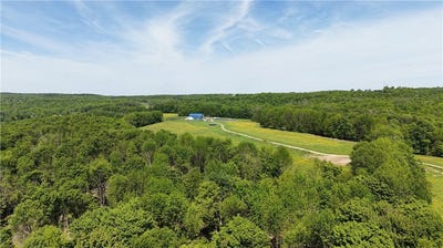 /international/us/362-brown-gale-road-mc-donough-ny-110108603335/