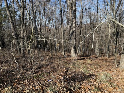 /international/us/hillcrest-drive-lot-11-kimberling-city-mo-110104139746/