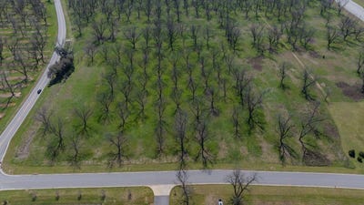 /international/us/0-us-highway-19-leesburg-ga-110100970125/?lang=zh-cn