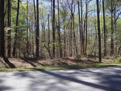 /international/us/2515-slater-mill-road-douglasville-ga-110100987325/