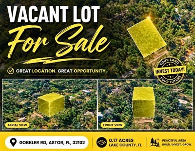 /international/us/gobbler-road-astor-florida-32102-astor-ny-110109930691/