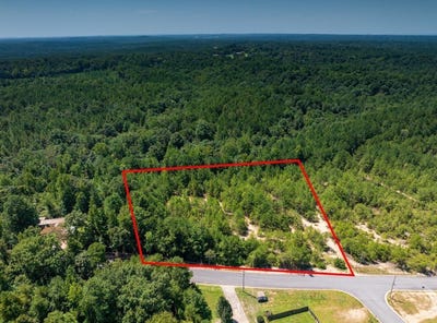 /international/us/gilmore-mine-road-lot-a-cottondale-al-110120113656/
