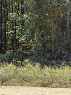 /international/us/7214-jericho-pine-bluff-ar-110120133071/