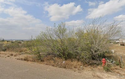 /international/us/1019-weslaco-lane-zapata-tx-110100243682/