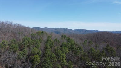 /international/us/wilderness-road-hays-nc-110107952914/