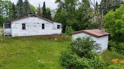 /international/us/2021-m-38-nisula-mi-110101241939/
