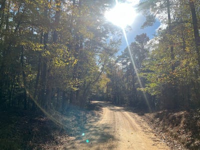 /international/us/county-road-56-carrollton-ms-110104142258/