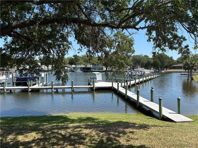 /international/us/11014-w-cove-harbor-drive-crystal-river-fl-110108060698/