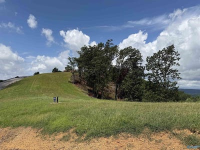 /international/us/county-road-1022-lot-214-cedar-bluff-al-110110259392/