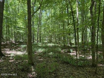 /international/us/541-s-steel-bridge-road-eatonton-ga-110108543698/