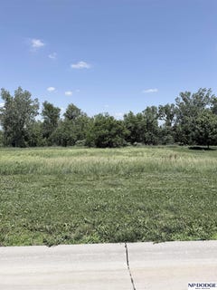 /international/us/1028-brickyard-drive-hooper-ne-110108687142/